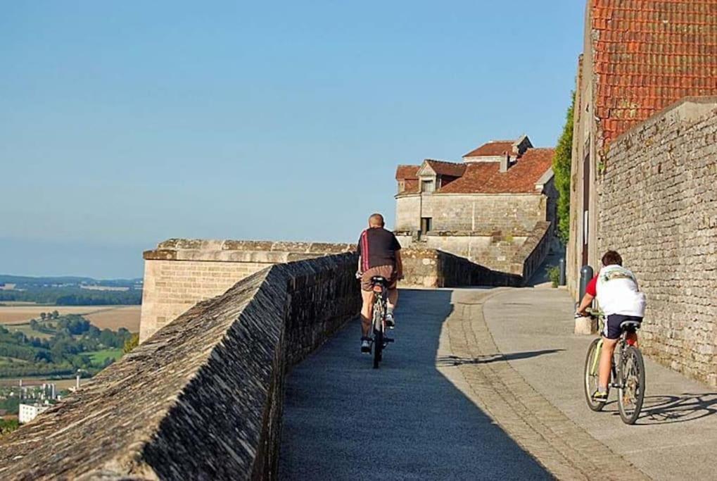 Appartement Proche Des Remparts Langres Bagian luar foto